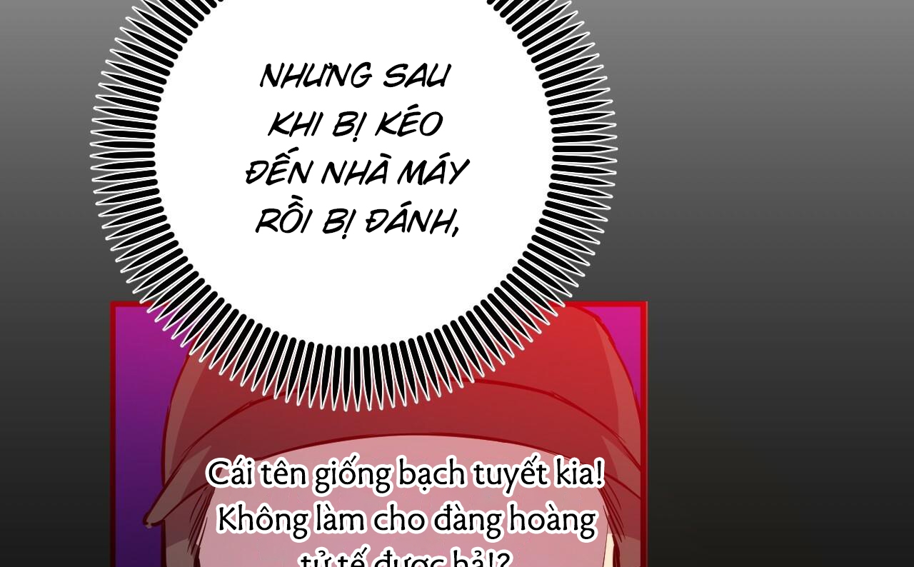 những chú thỏ của hapypy chapter 52 15