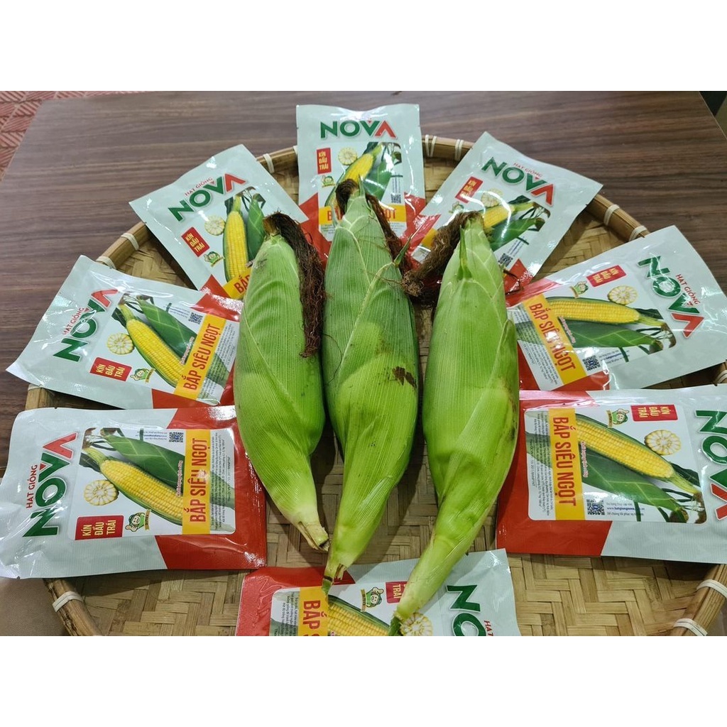 Hạt Giống Ngô Siêu Ngọt No va
