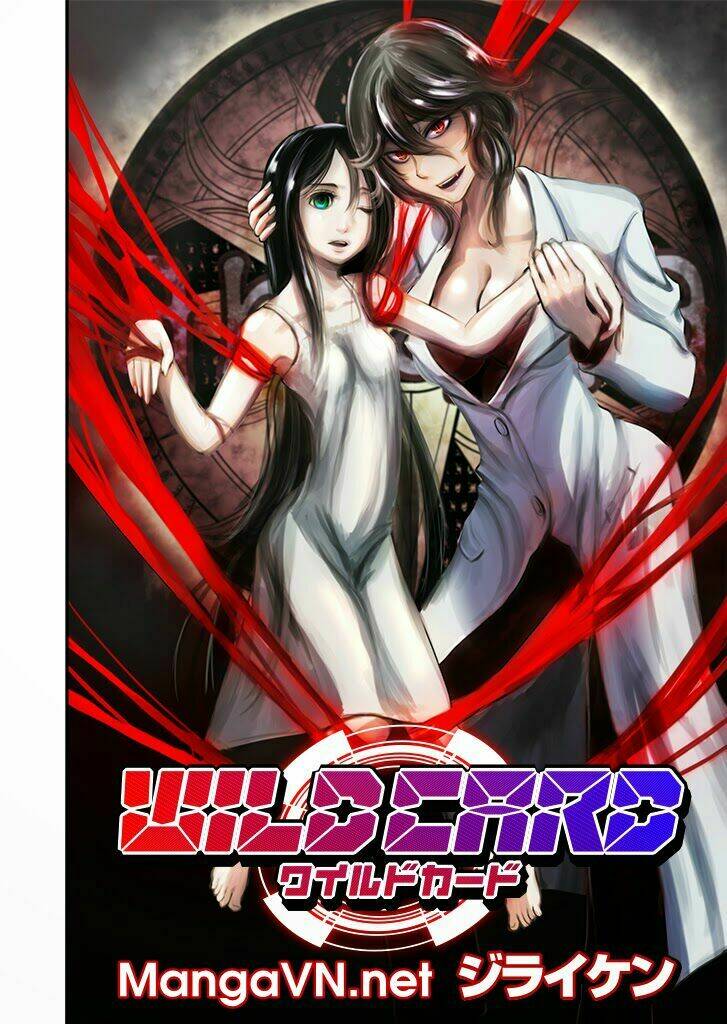 wildcard chapter 2.1 3