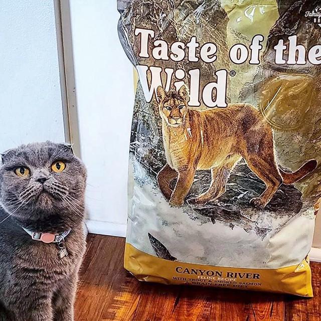 Thức Ăn Cho Mèo Anh Lông Ngắn Taste Of The Wild Canyon River Bao 500g - Cá Hồi, Rau Củ Quả, Trái Cây