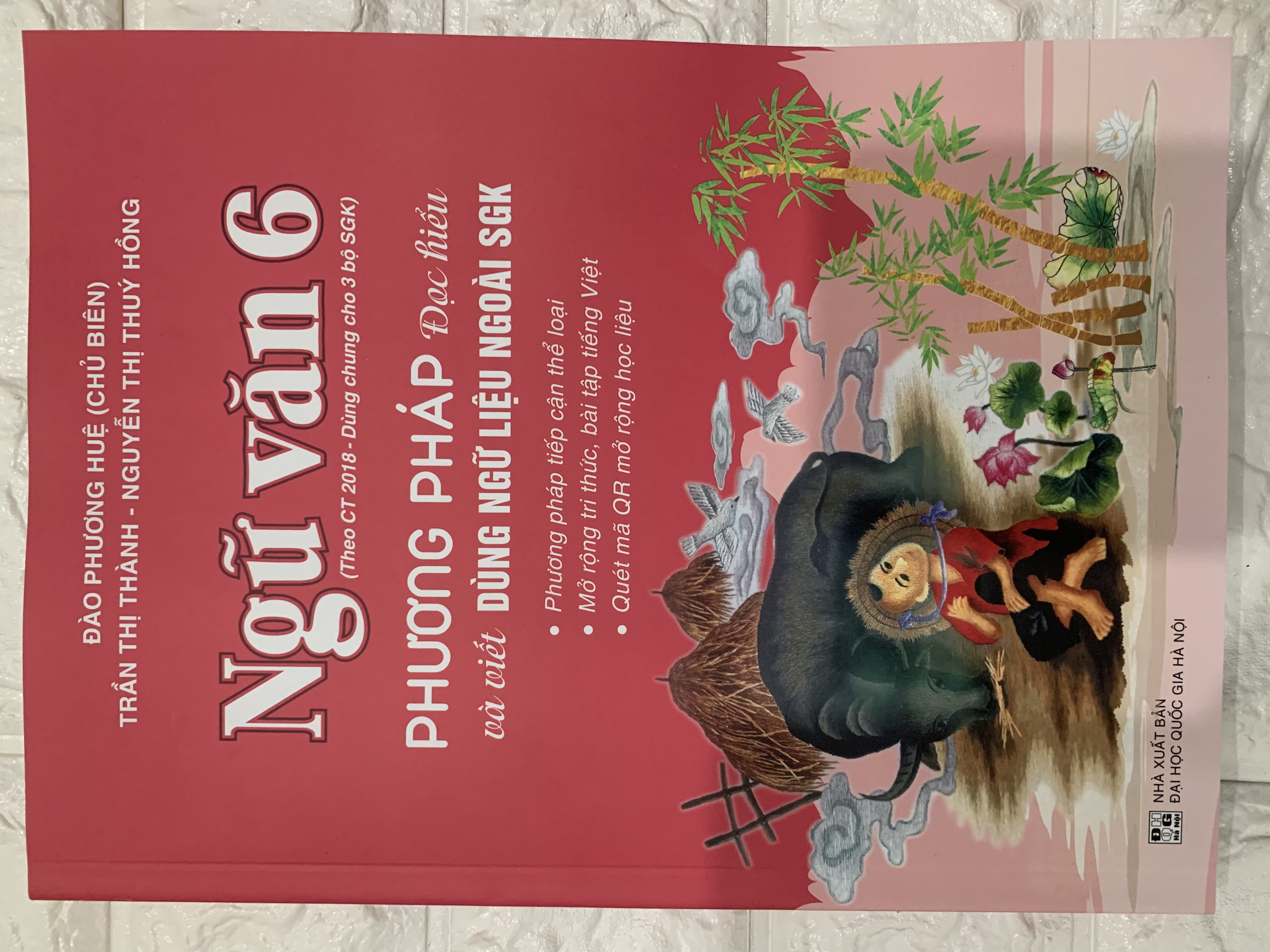 Combo phương pháp đọc hiểu và đề ôn luyện kiểm tra ngữ văn 6 oa/