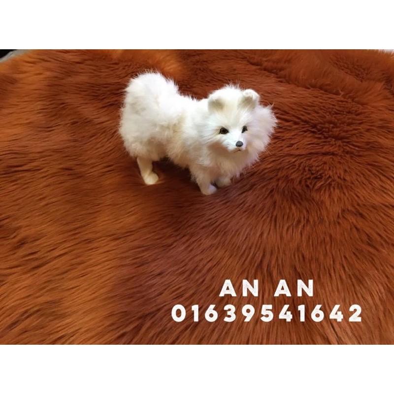 Thảm lông chụp ảnh - Trải sàn - Size 1m x 1m6