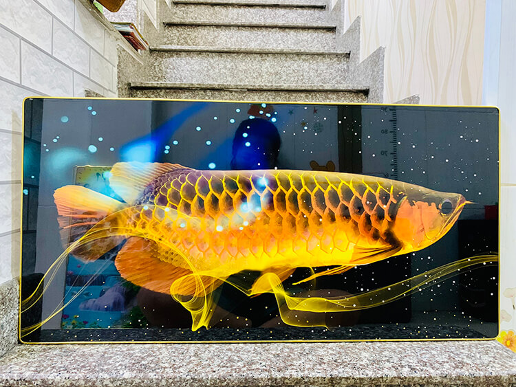 TRANH TRÁNG GƯƠNG - TRANH TREO TƯỜNG PHÒNG KHÁCH - TRANH PHÒNG NGỦ - TRANH TRÁNG GƯƠNG CÁ RỒNG PHONG THỦYTẶNG KÈM ĐINH 3 CHÂN)