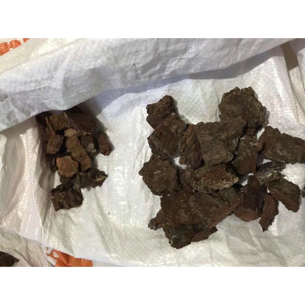 Combo 3kg vỏ thông size 1-2 cm và 5 kg vỏ thông size 3-4 cm cho trông lan thân thòng