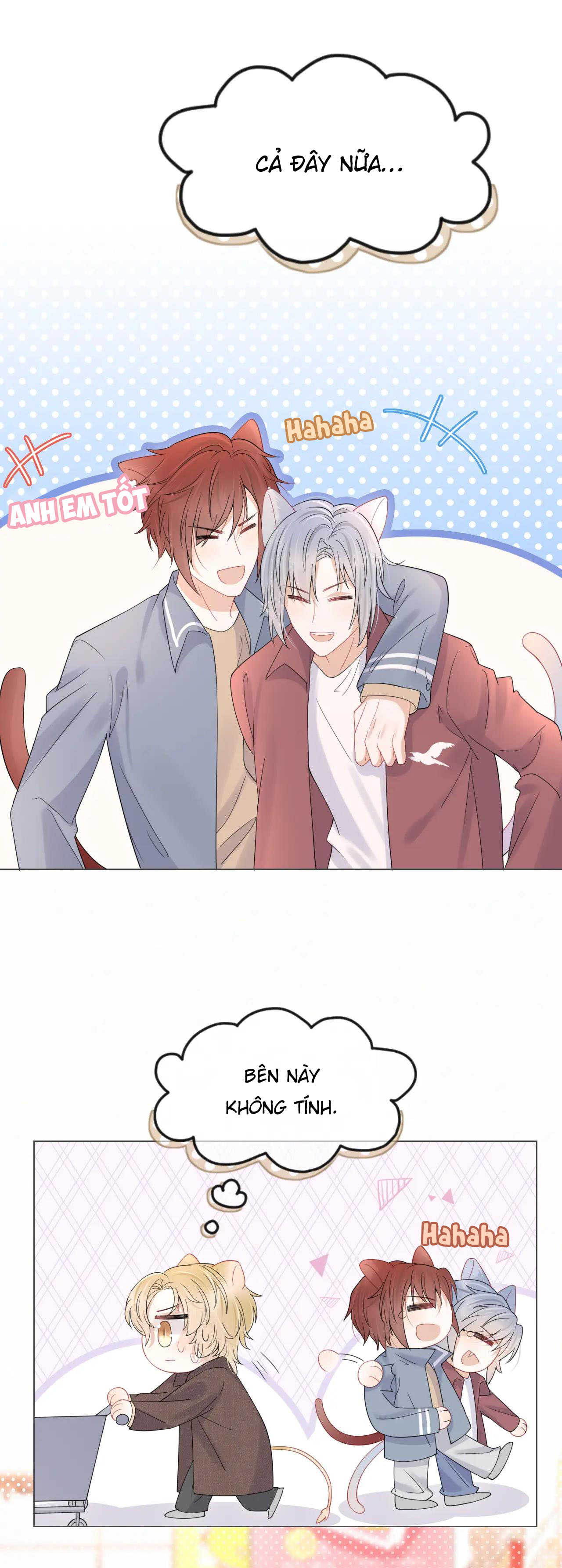 một miếng ăn sạch thỏ chapter 21 9