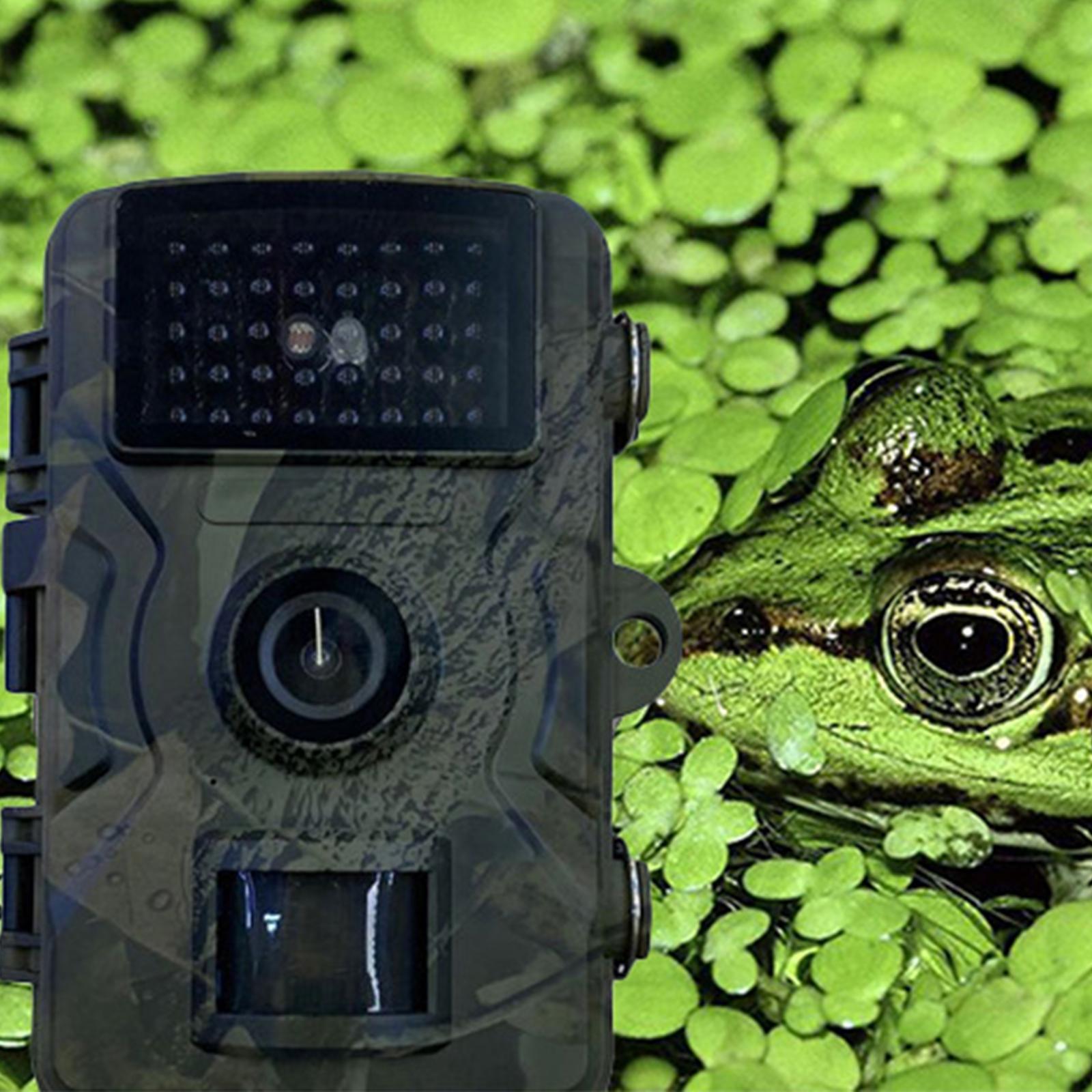 Trail Camera Mini with Night View Deer Camera for Garden Wildlife Watching