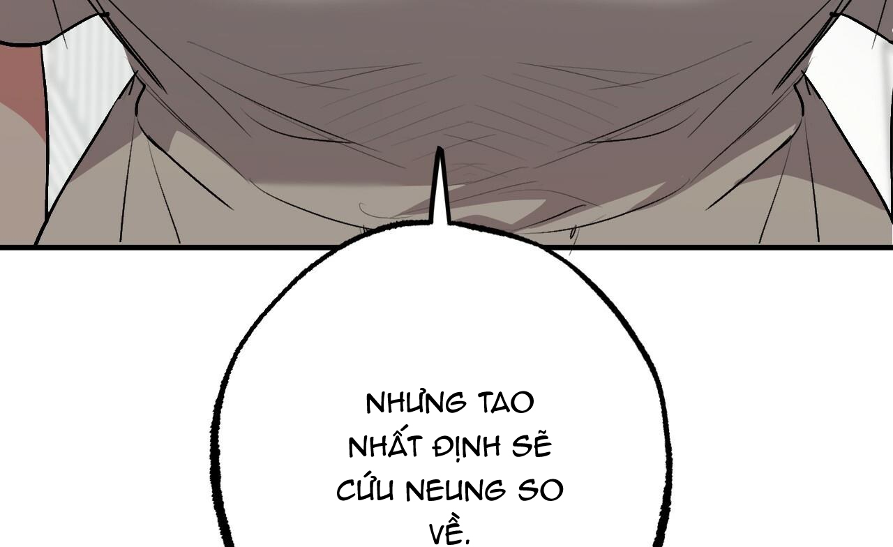 đàn thỏ của habibi chapter 45 188