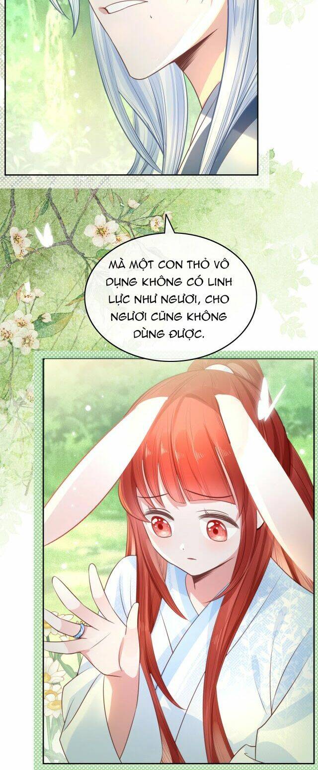 hắc hóa nam chính trực tuyến nuôi thỏ chapter 15 24