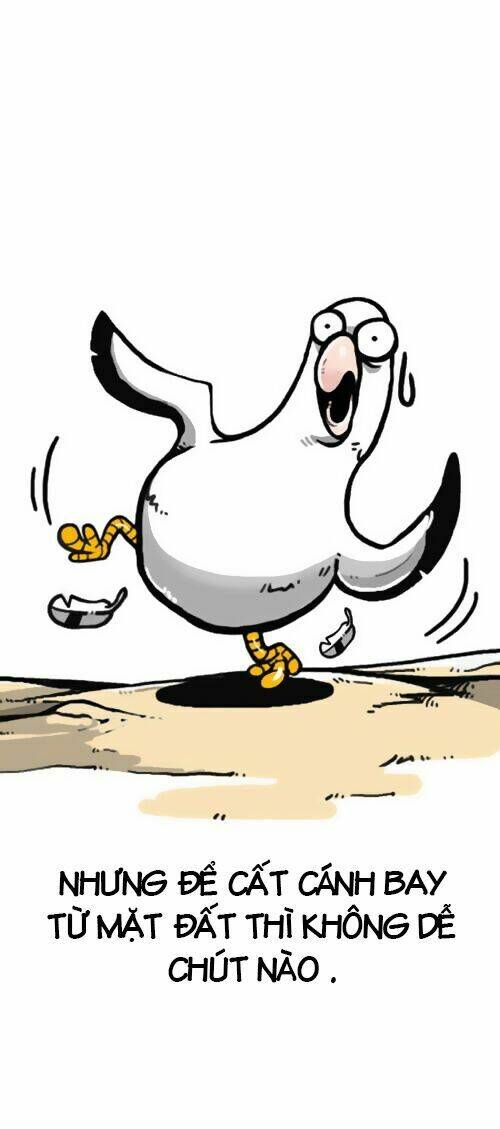 earth, human, and animal chapter 1 14