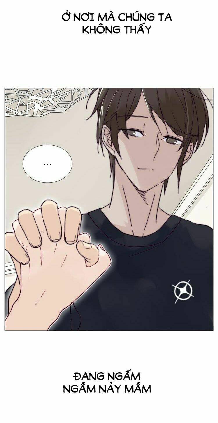 lấp lánh tình yêu kẹo bạc hà chapter 68 30