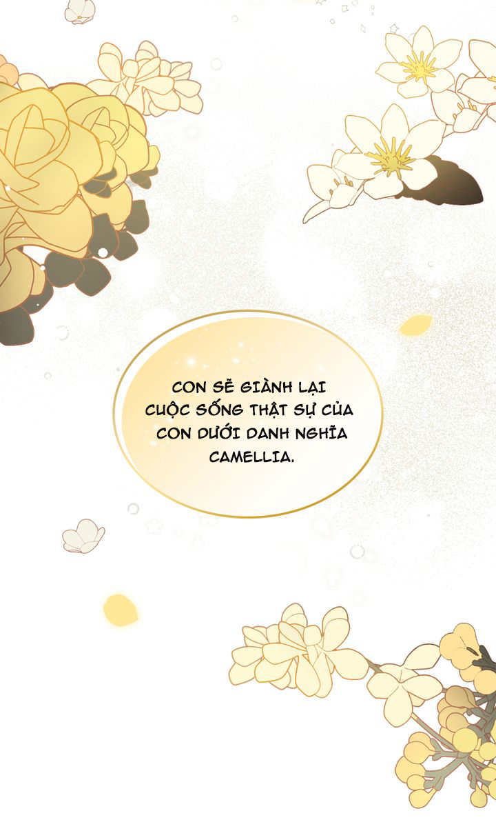 tìm lại nàng camellia chapter 0 47