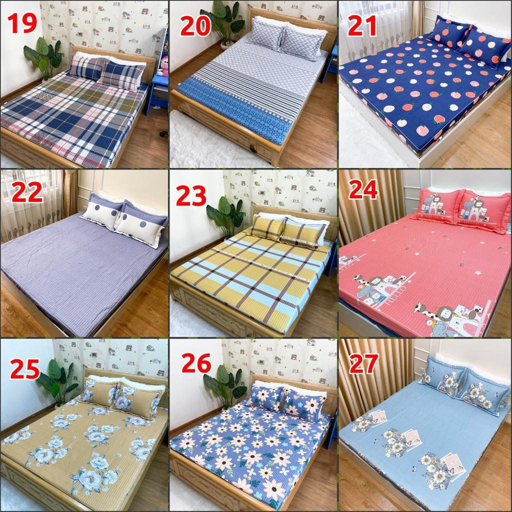 Bộ ga chun trần bông cotton Hàn Quốc kích thước 1m6/1m8/2m