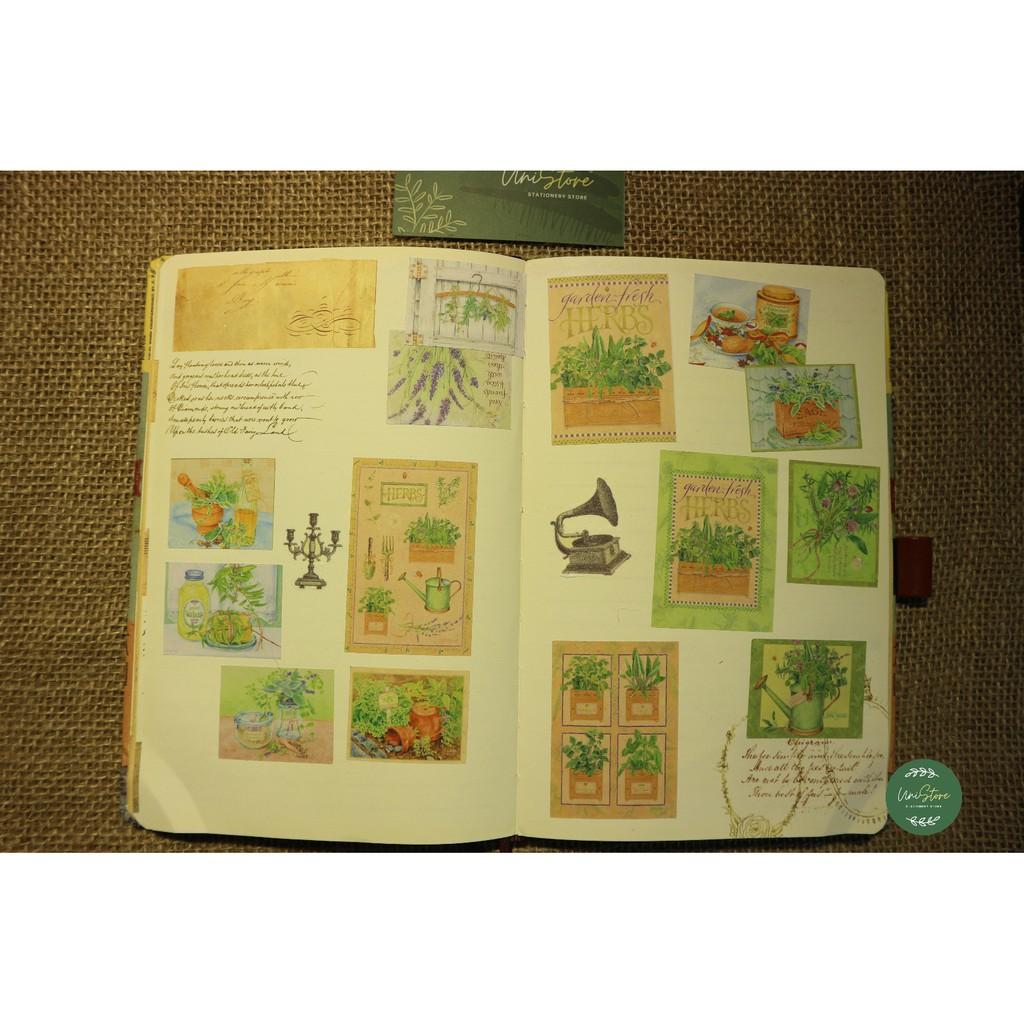 Sticker phong cách cổ điển - sticker vintage green garden - uni004