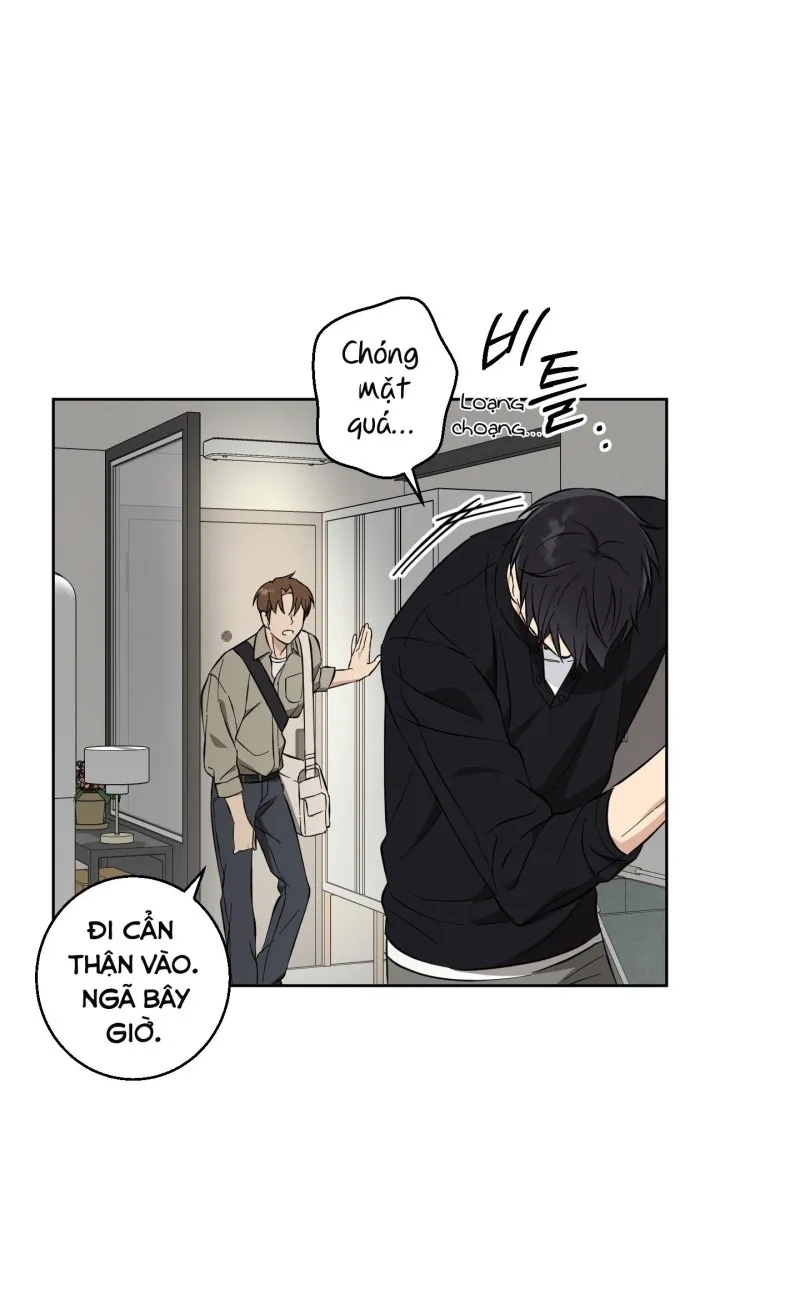 hãy bảo vệ tình yêu thuần khiết! chapter 10 49