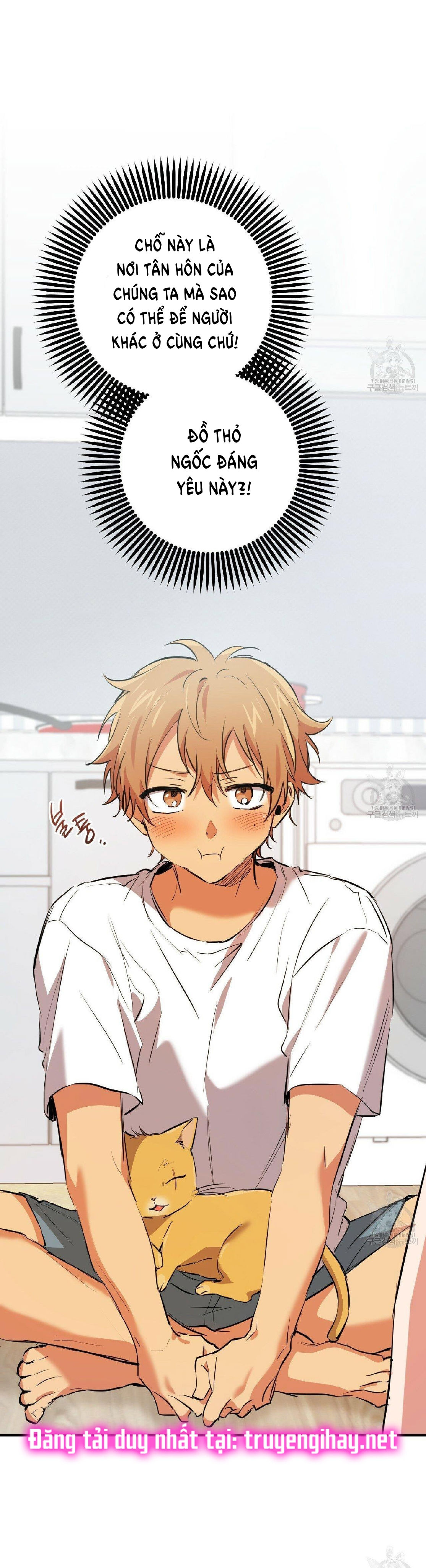 những chú thỏ của hapypy chapter 51.2 16