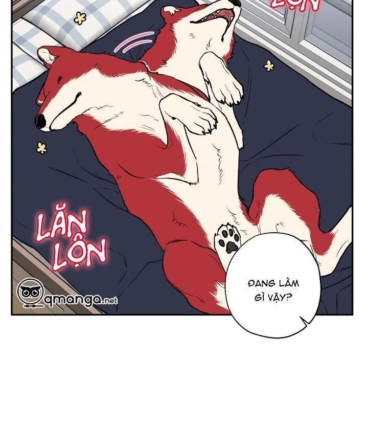 gâu gâu! chapter 19 30