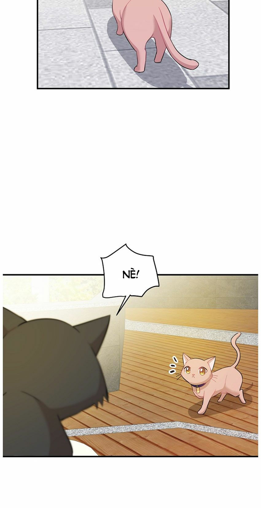 cuộc sống kỳ thú chapter 21 12