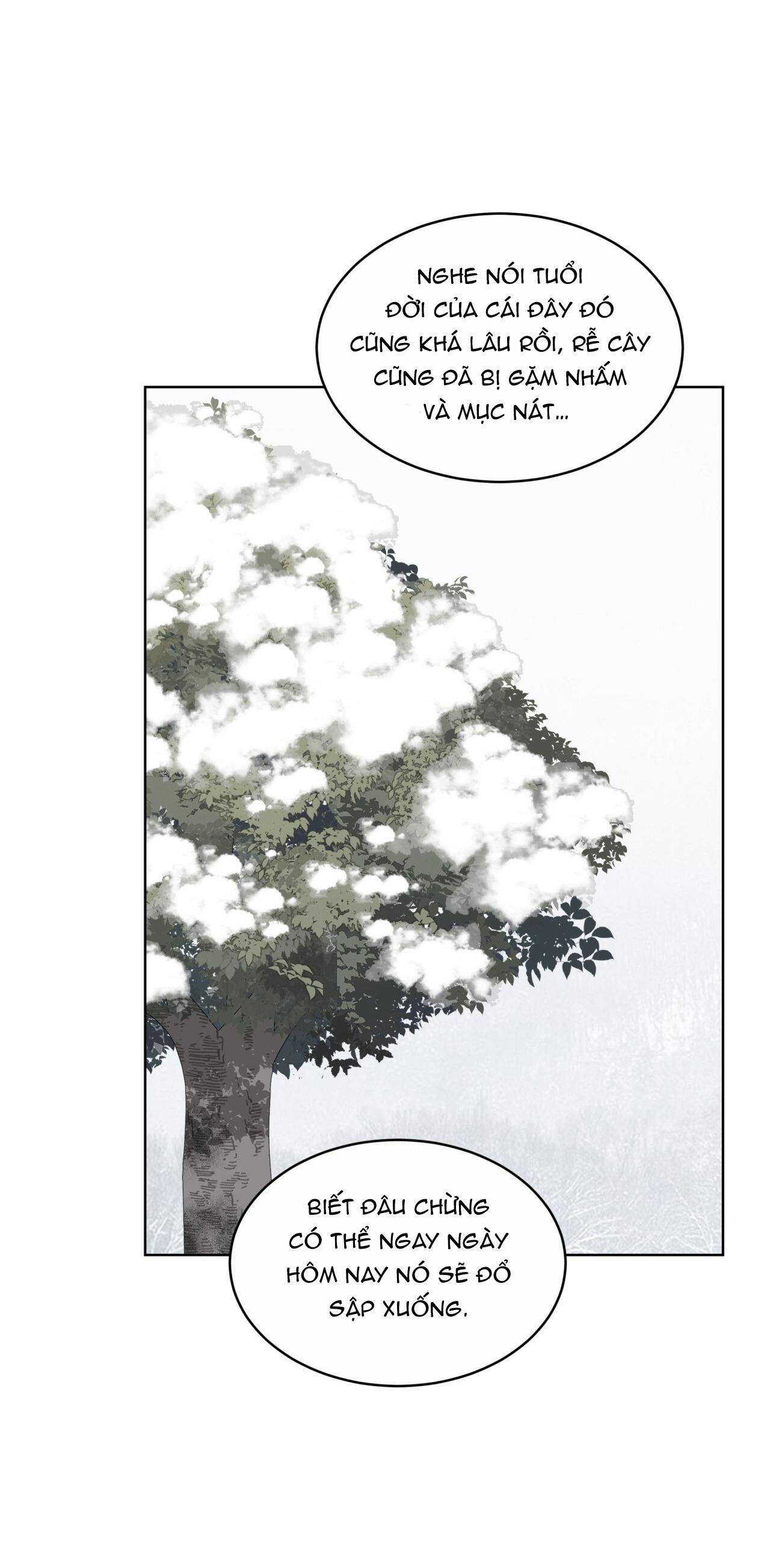 rừng biển [bl] chapter 30 53