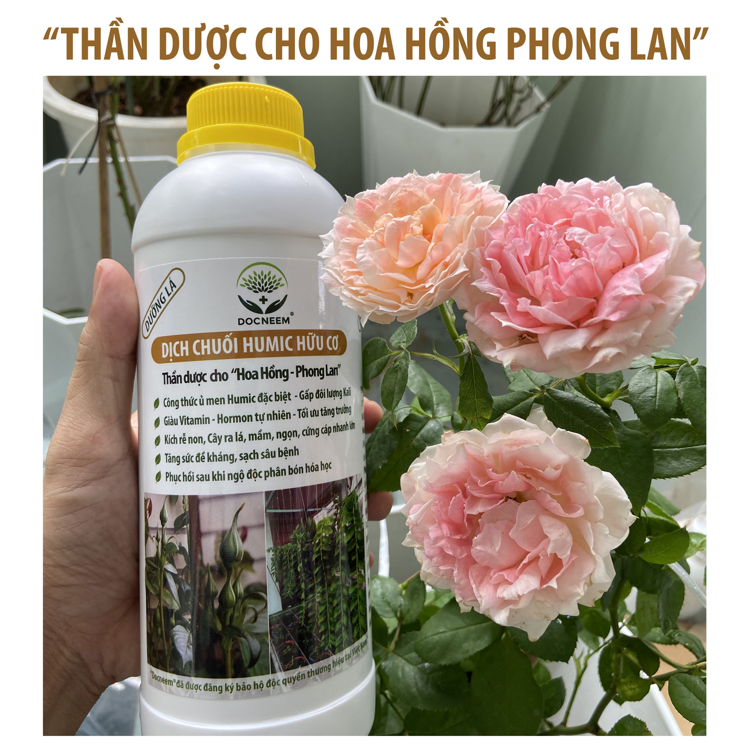 Phân bón hữu cơ dịch chuối DOCNEEM, phân bón cho phong lan, hoa hồng, cây cảnh kích rễ, kích kei, chồi, mầm, chai 1 lít