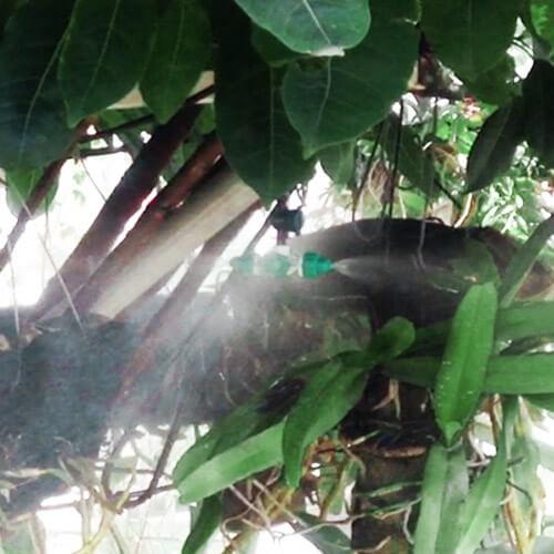 Béc Phun Sương 4 Cửa Nối Nhanh 8 Ly - Có Van Chống Rỉ