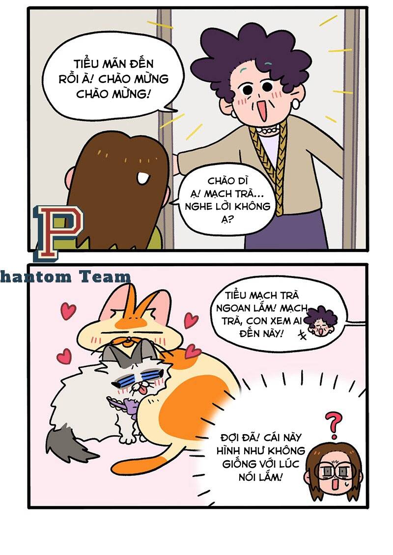 a mãn và mạch trà chapter 50 4