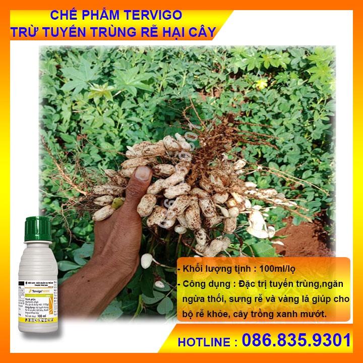 Tervigo 020SC Đặc Trừ Tuyến Trùng Rễ- ngăn ngừa thối sưng rễ và vàng lá