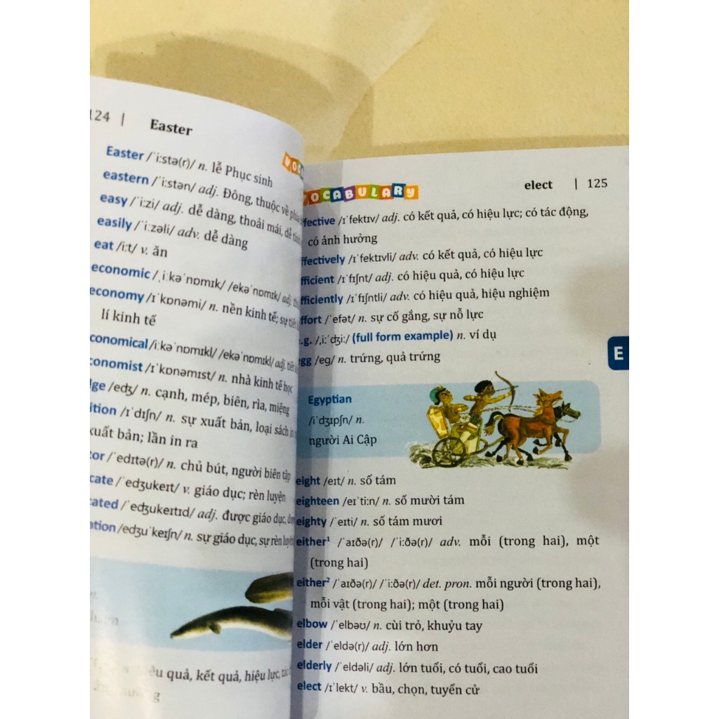 Hình ảnh Sách - 5500 từ vựng tiếng Anh thông dụng nhất (bản màu)