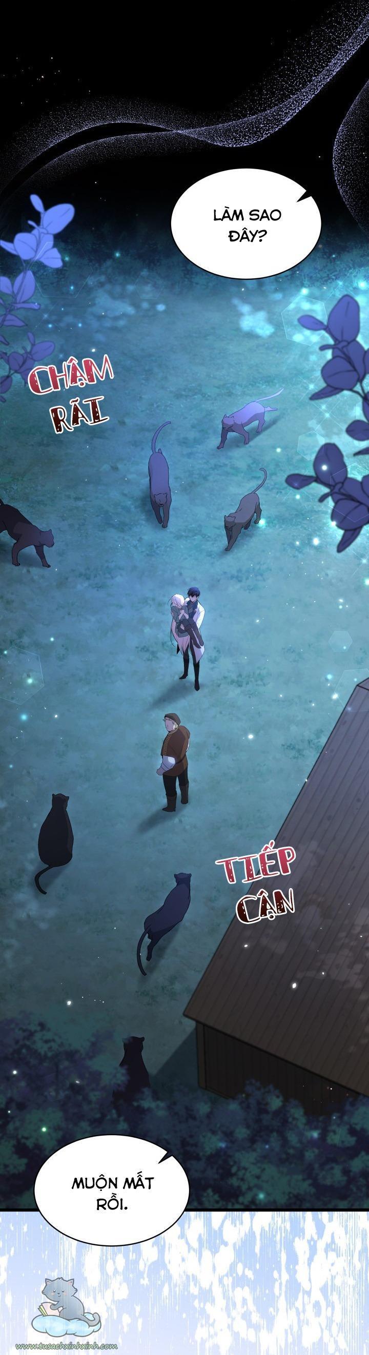 quan hệ cộng sinh giữa báo đen và thỏ trắng chapter 51 14