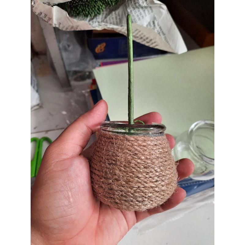 HỦ GIÁC LÀM HOA TÚ CẦU