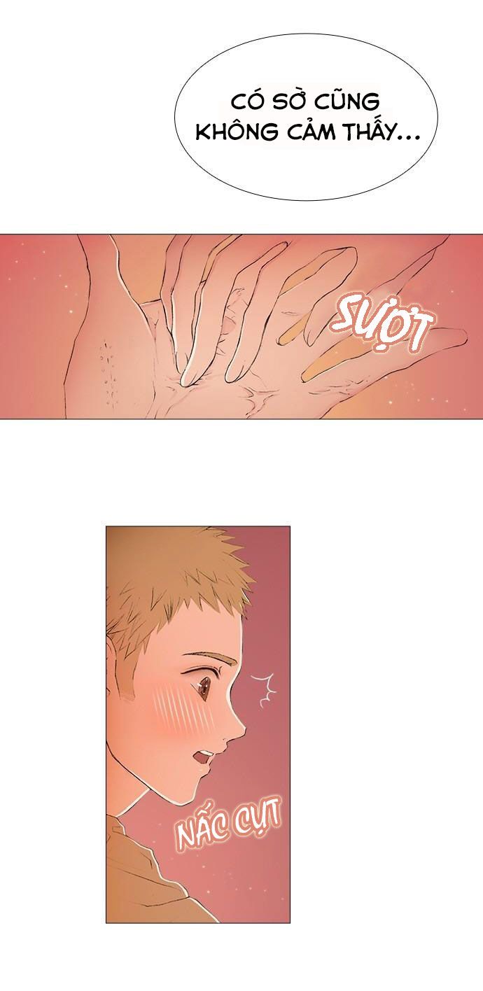 tôi chính là nhà sưu tập chim chapter 1 33