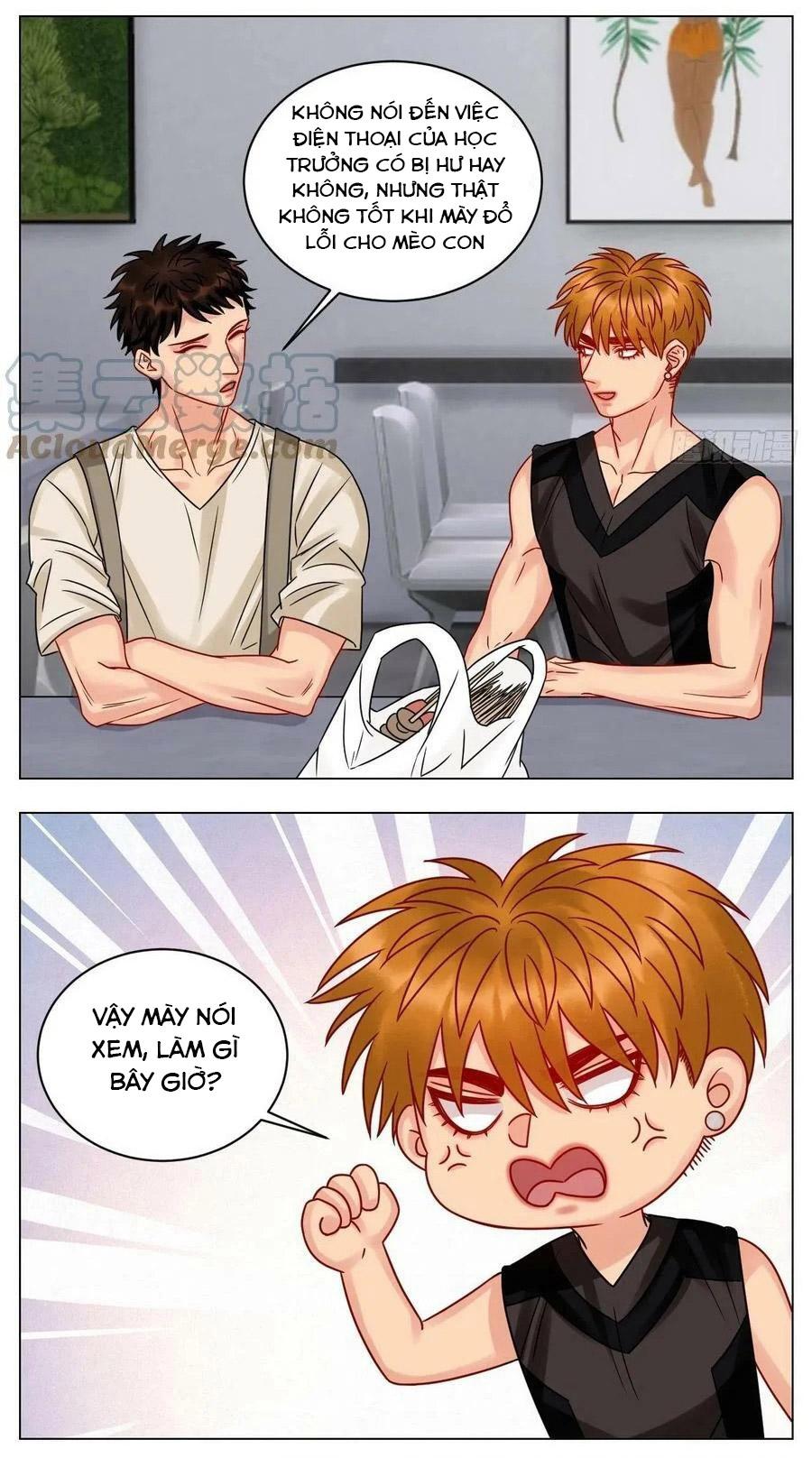 ký túc xá nam phòng 303 chapter 196 14