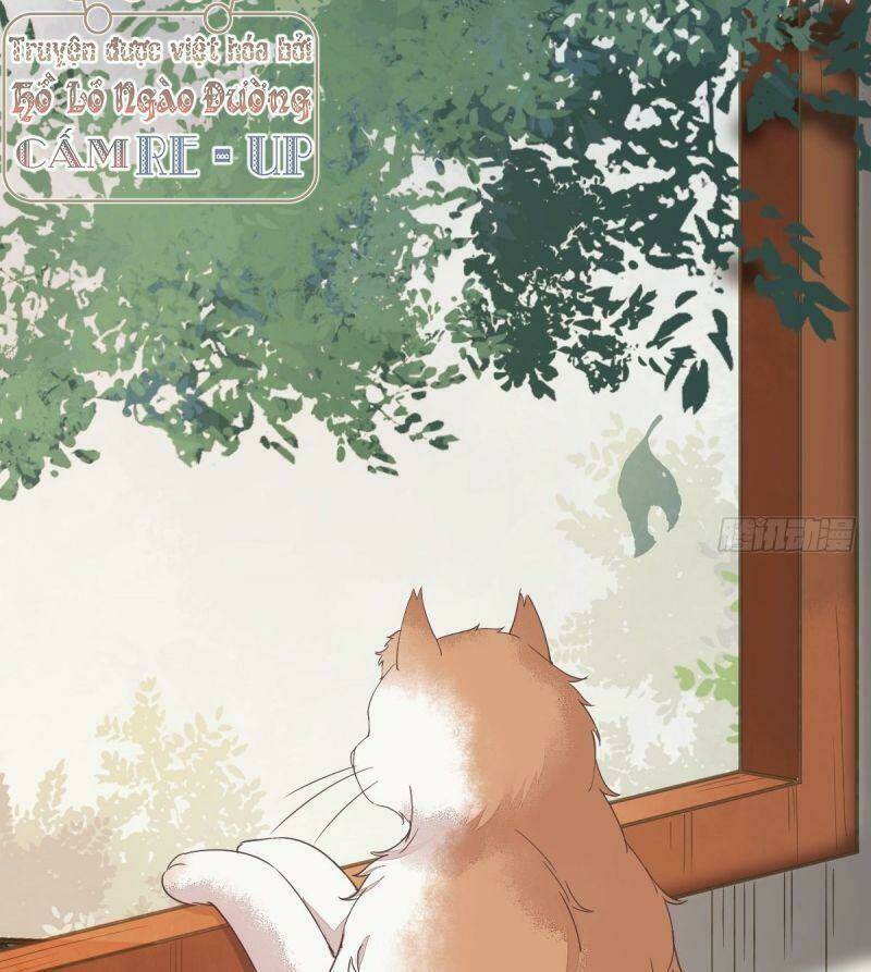 sát thủ vương phi không dễ chọc chapter 38 40