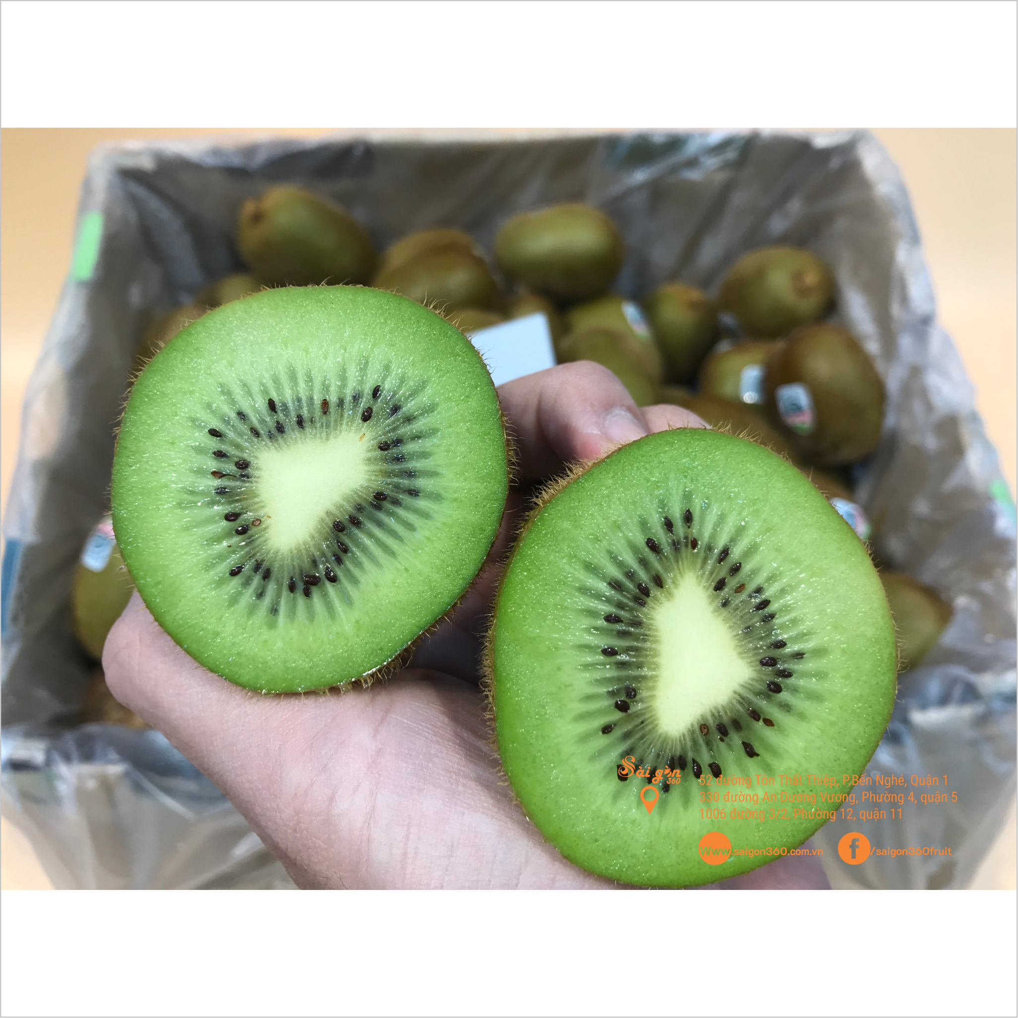 [Chỉ Giao HCM] - KIWI XANH NEW ZEALAND 1kg