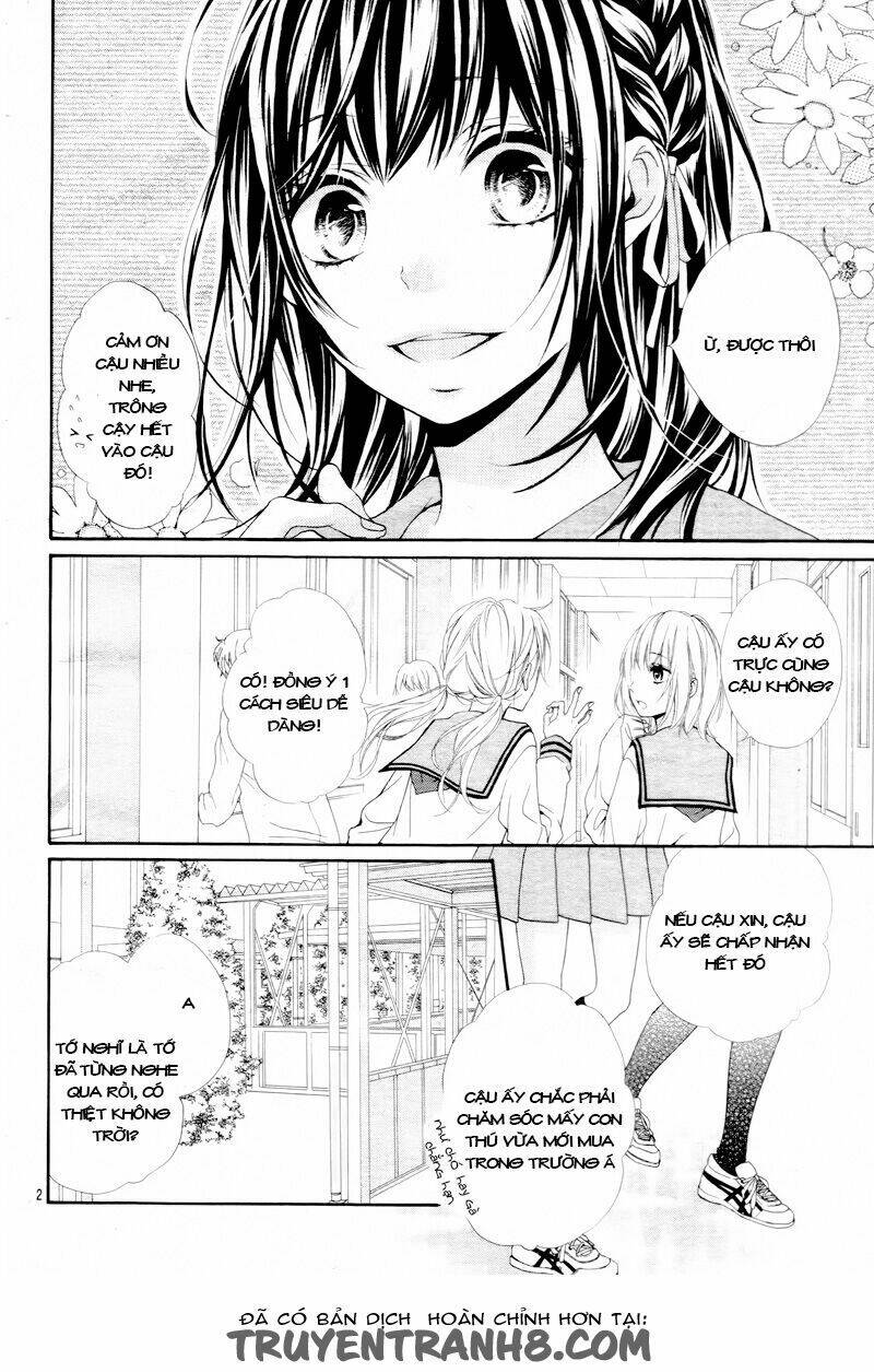 kedamonozakari, koizakari chapter 1 4