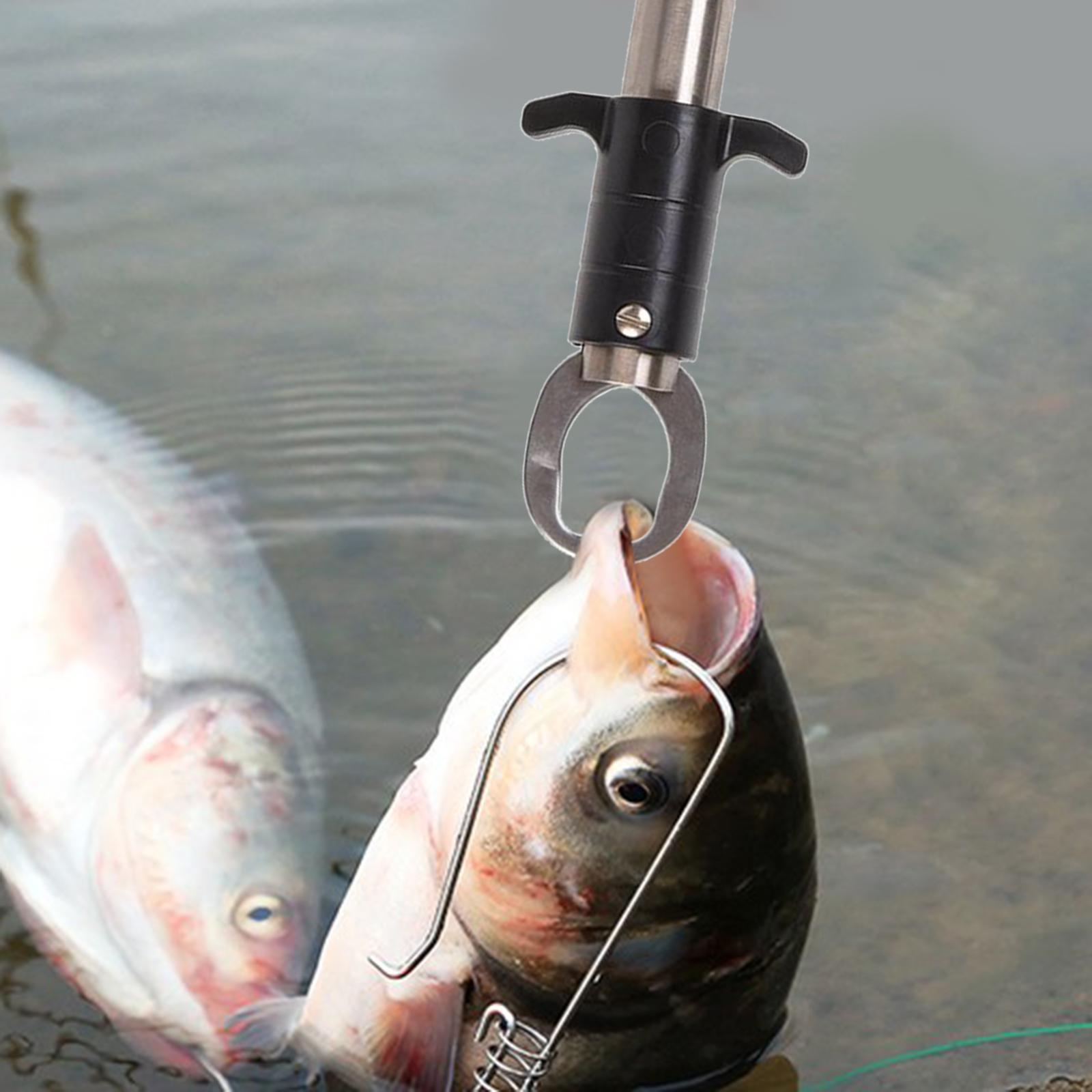 Fish Lip Gripper Fish Scales Professional Fish Holder Stainless Steel Fish Lip Grabber 55 Pound Fish Lip Grip Tool with Weight Scale