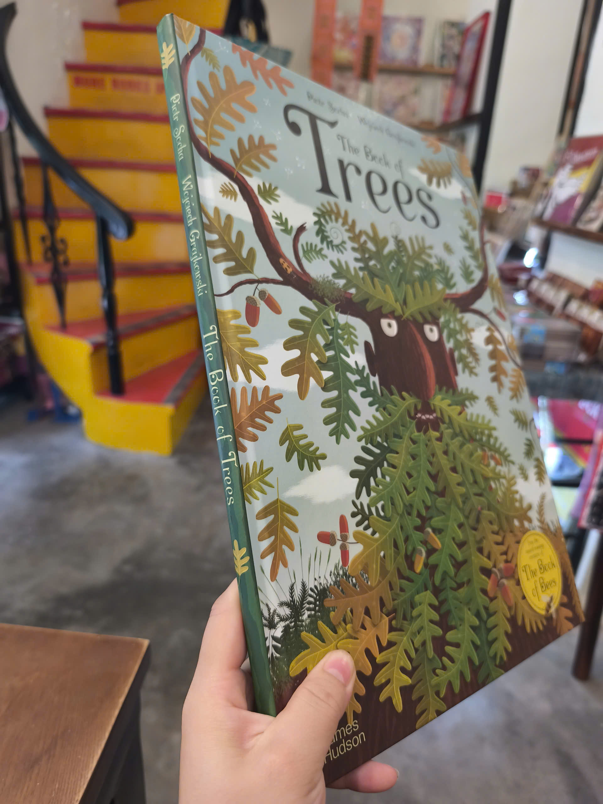 Sách - The Book of Trees by Piotr Socha | Childrens Picture Book / Ngoại văn Thiếu nhi Bìa cứng