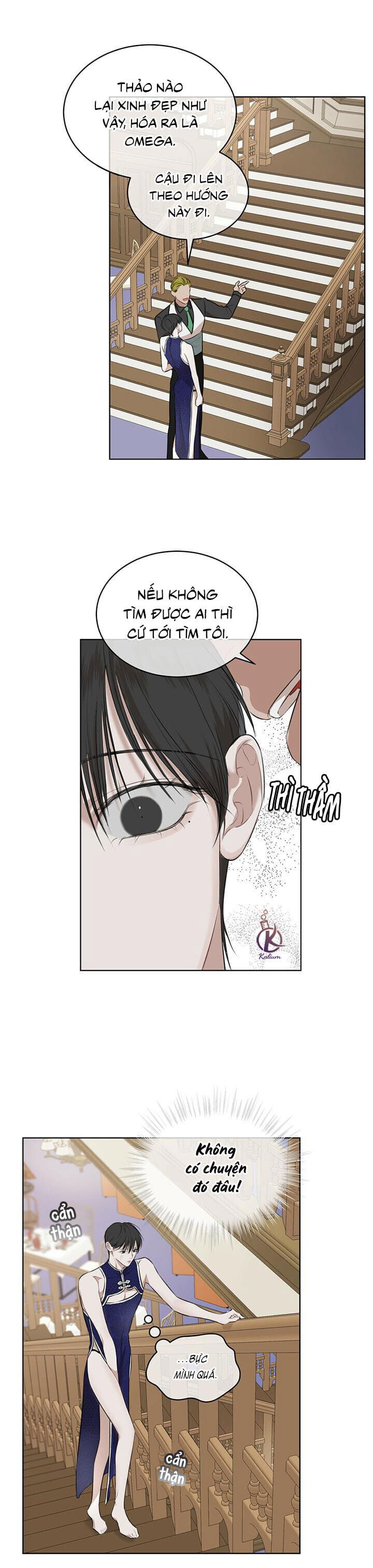 hình thái khởi sinh chapter 26 13