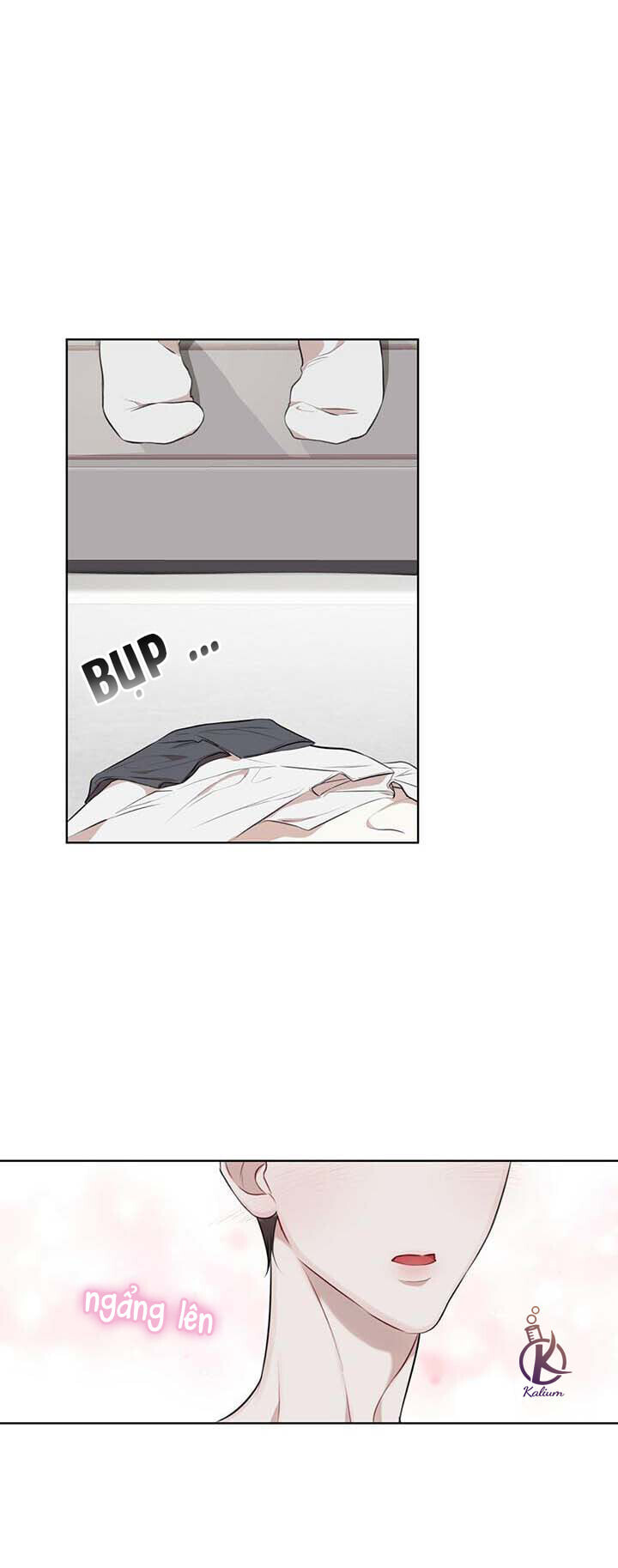 hình thái khởi sinh chapter 22 23