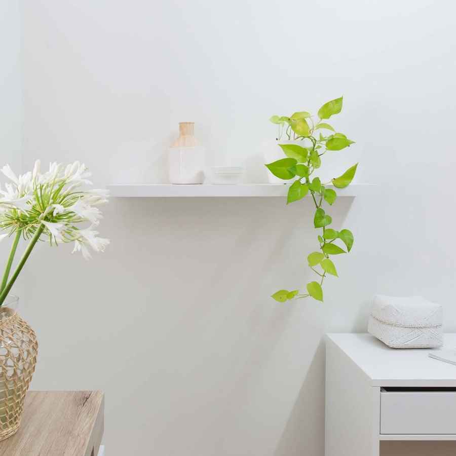 Kệ gỗ trang trí treo tường SML60