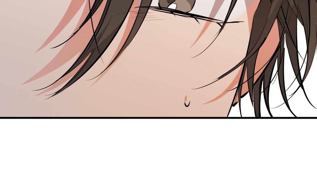 đàn thỏ của habibi chapter 40 15