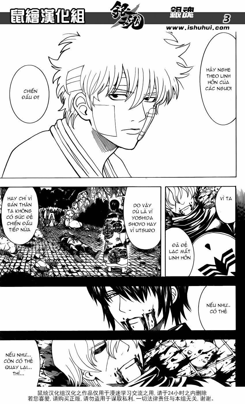 gintama - linh hồn bạc chapter 595 4