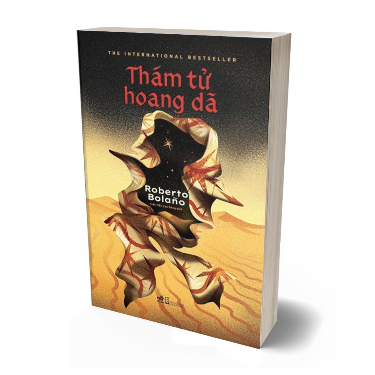 Thám Tử Hoang Dã - Roberto Bolaño
