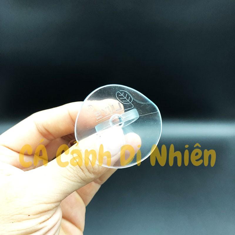 Hít kính giữ ống DÂY LỌC NƯỚC 20 mm cho hồ cá cảnh