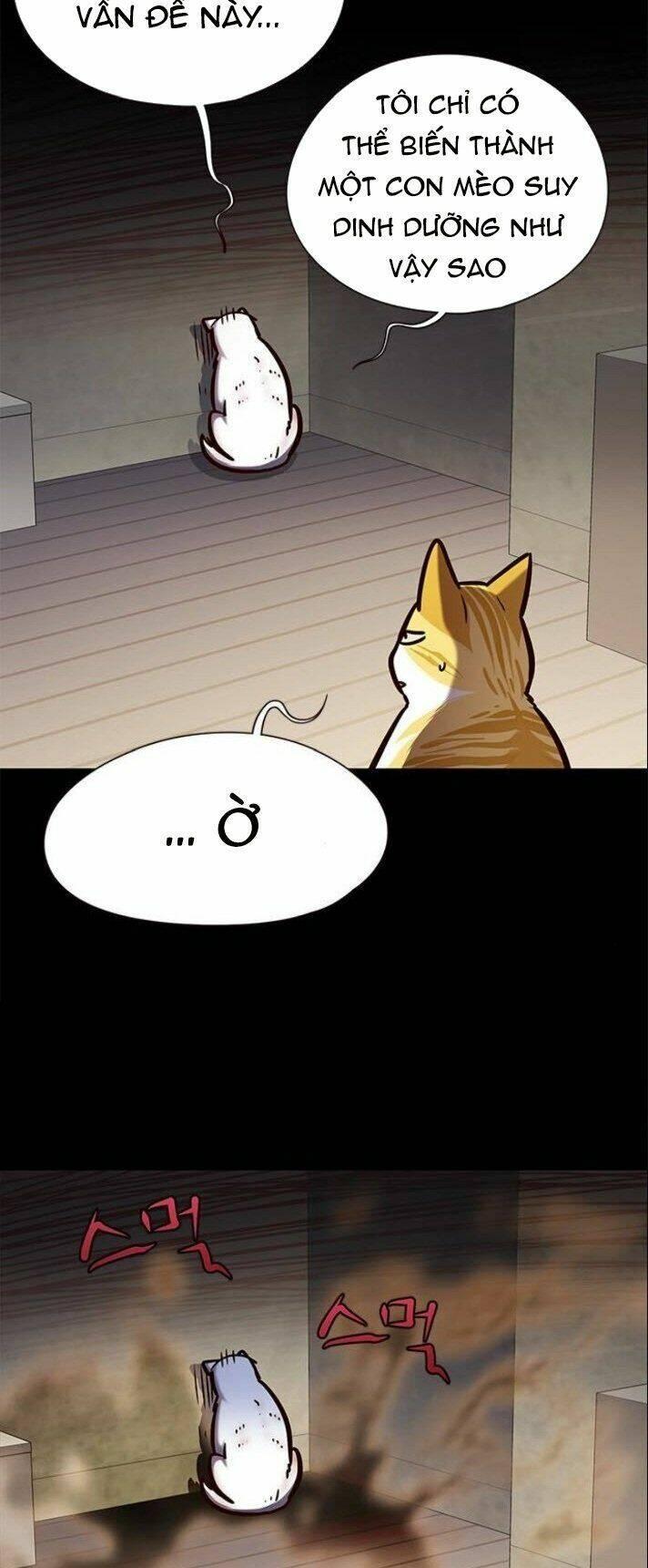biến thân thành mèo chapter 142 8
