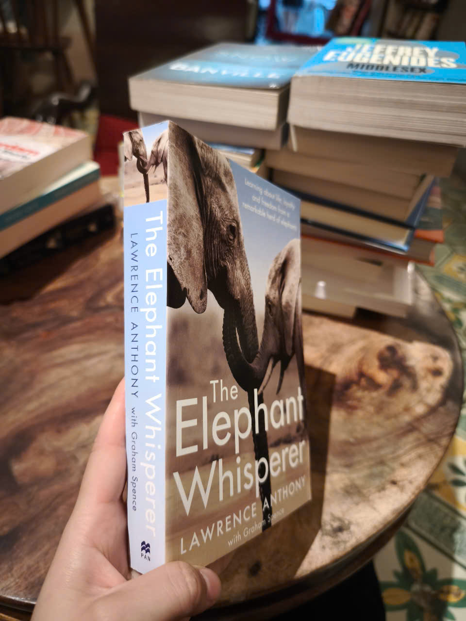 Sách - the Elephant Whisperer by Lawrence Anthony - Sách Lịch sử tiếng Anh/ Nonfiction in English - Biography