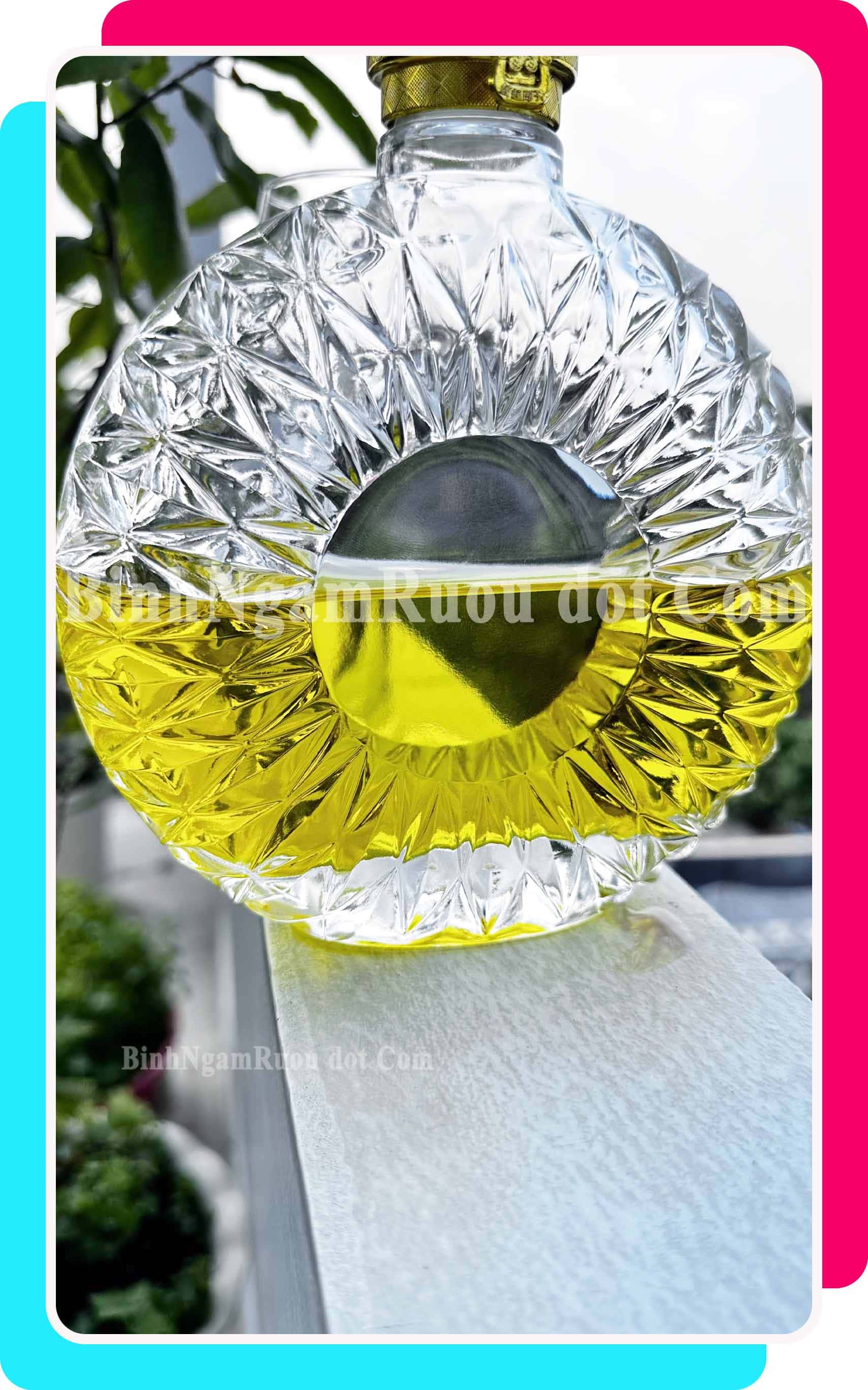 C13 Chai Đựng Rượu Thủy Tinh Đẹp Cao Cấp - 500ml - Nắp Kín Thủy Tinh Trong - Tặng Biếu Sang Trọng