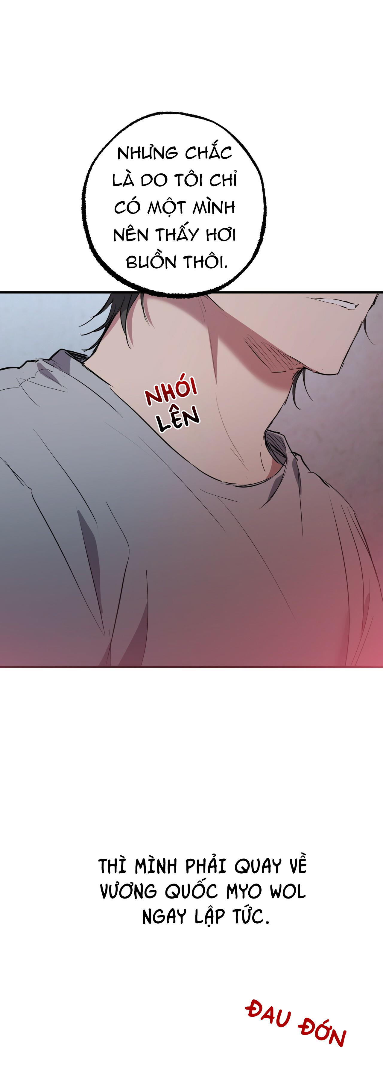 những chú thỏ của hapypy chapter 19 16