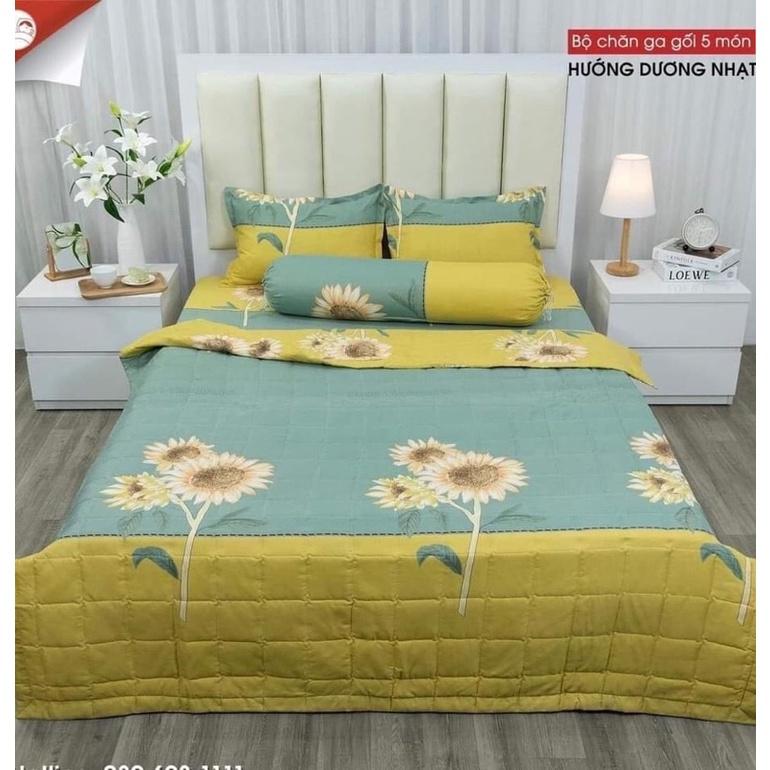 Chăn ga gối - Bộ drap 5 món cotton poly nhiều mẫu đủ size