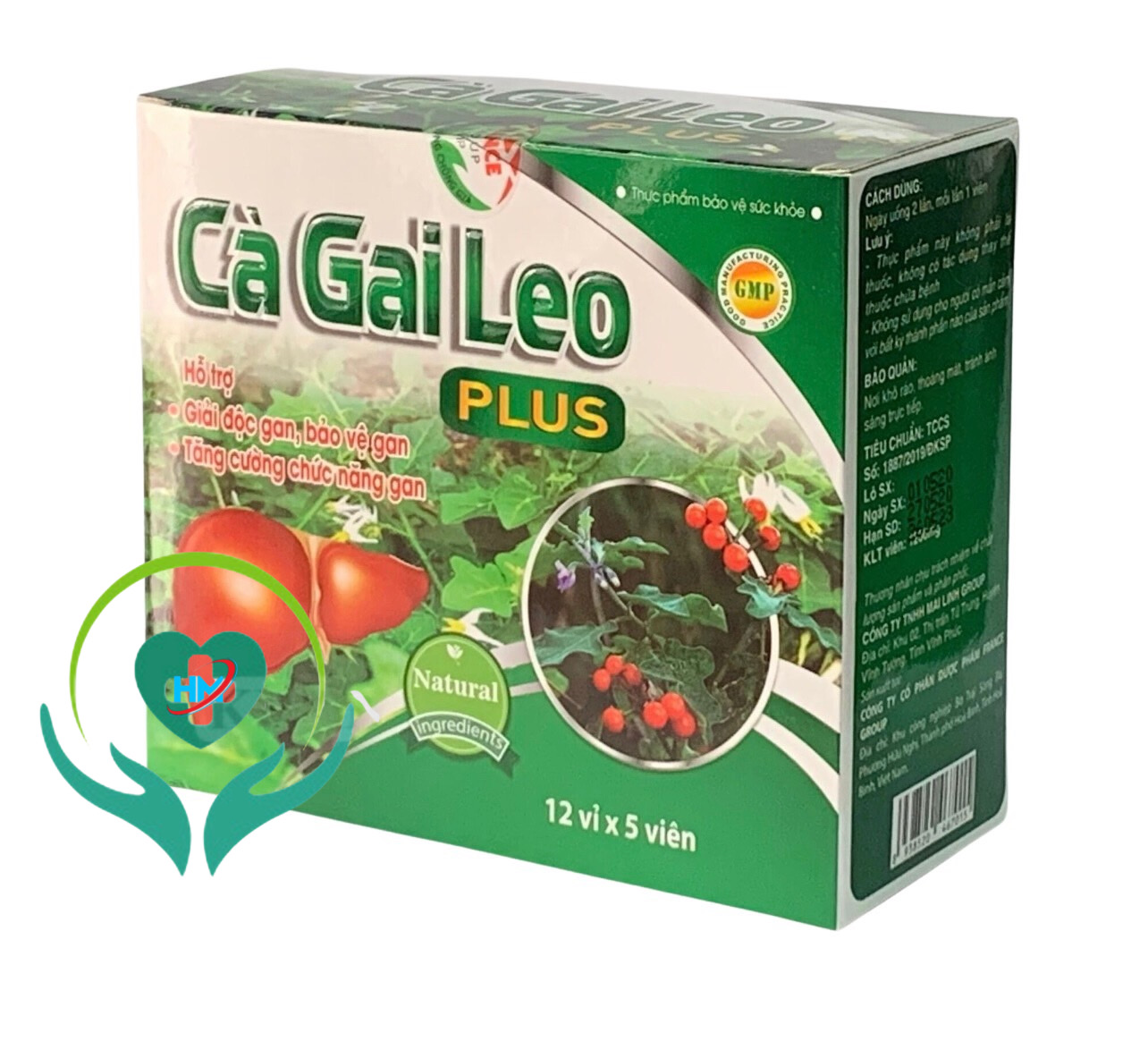 Viên Bổ Gan CÀ GAI LEO GOLD - Hộp 60 viên - Hỗ trợ giải độc gan,hạ men gan,giúp tăng cường chức năng gan, Lisse