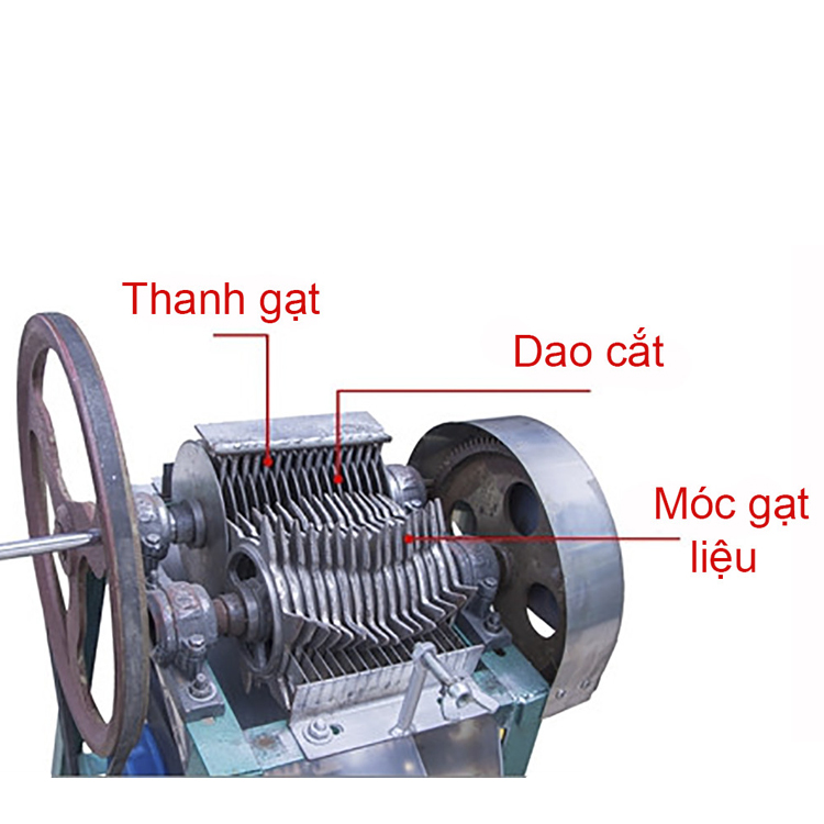 Máy cắt cá dao tròn 3A2,2KW - An toàn, tiện lợi, năng suất cao - Hàng Chính Hãng